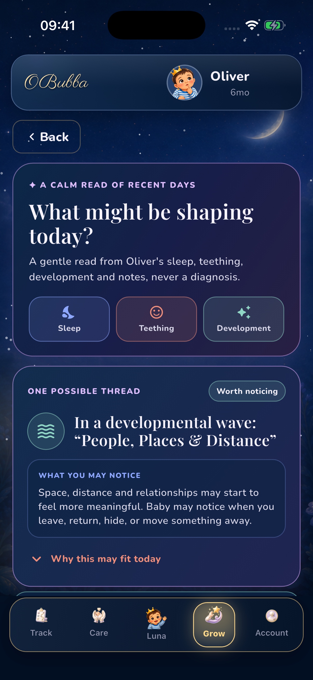 A genuine OBubba Behaviour Explained screen showing the product’s calm, non-diagnostic framing and expandable reasoning.